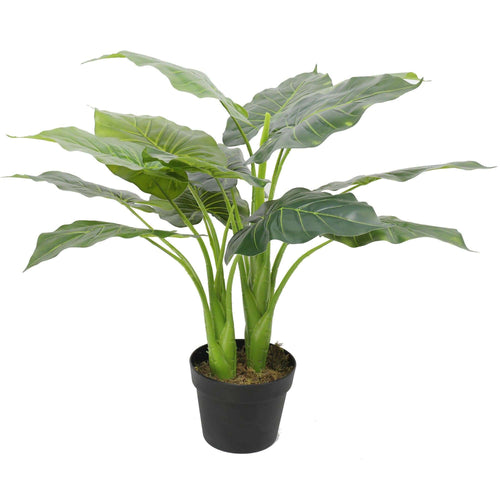 Artificial Potted Taro Plant / Elephant Ear