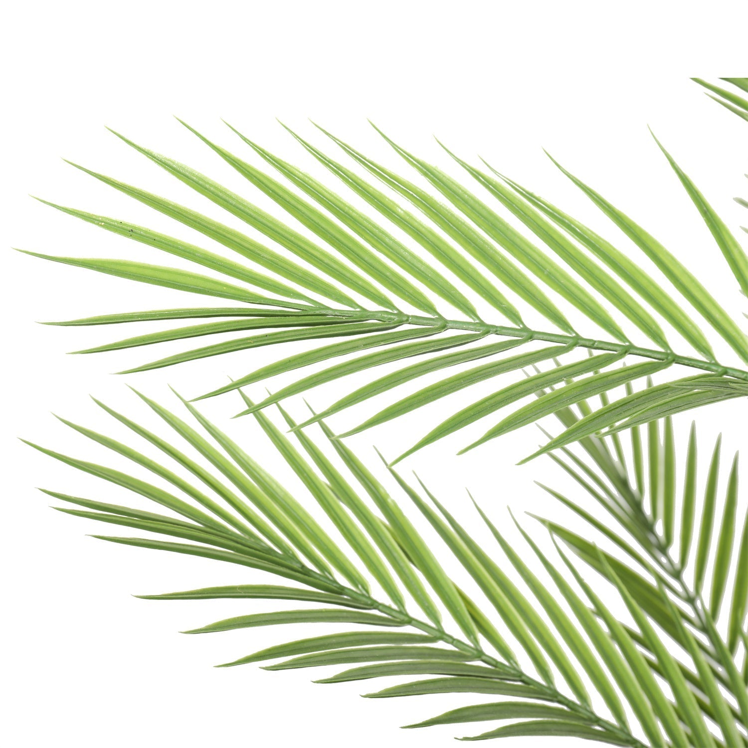 Real Touch Artificial Phoenix Palm Tree UV Resistant 180cm
